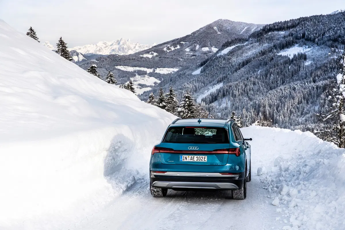 Audi e-tron (2019-22) (5)