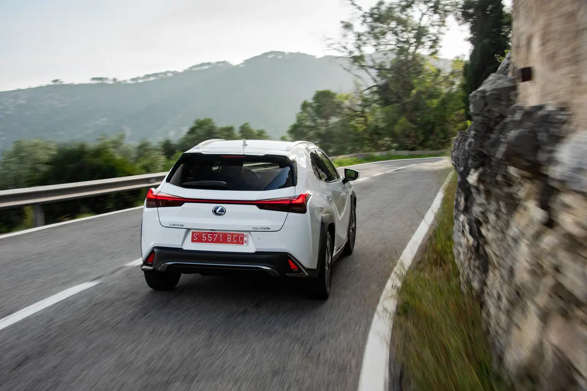 Lexus UX 250h 2019 | funziona se la fate funzionare  (2)