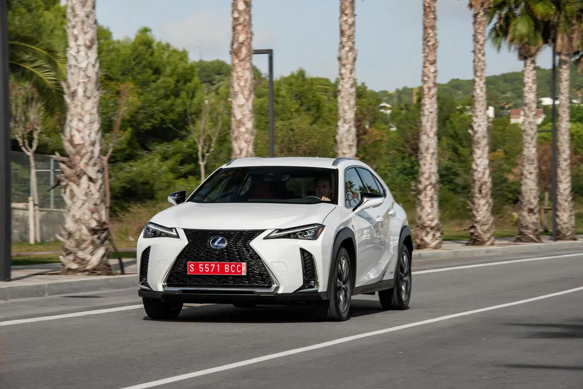 Lexus UX 250h 2019 | funziona se la fate funzionare  (3)