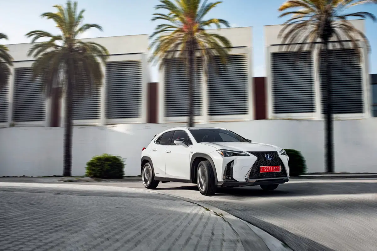 Lexus UX 250h 2019 | funziona se la fate funzionare  (4)