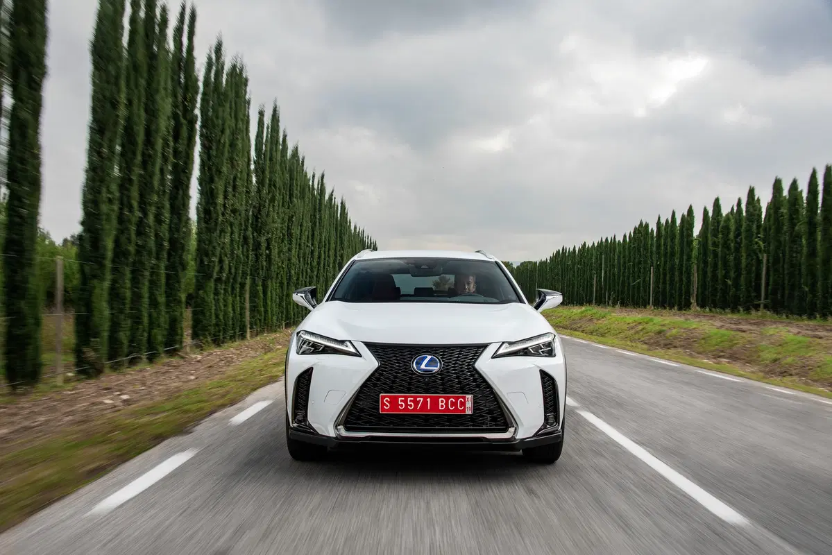 Lexus UX 250h 2019 | funziona se la fate funzionare  (7)