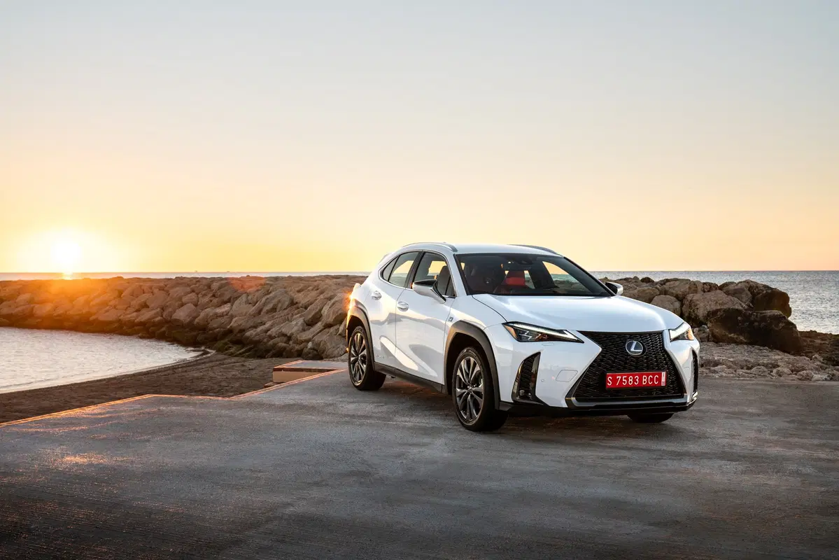 Lexus UX 250h 2019 | funziona se la fate funzionare  (8)