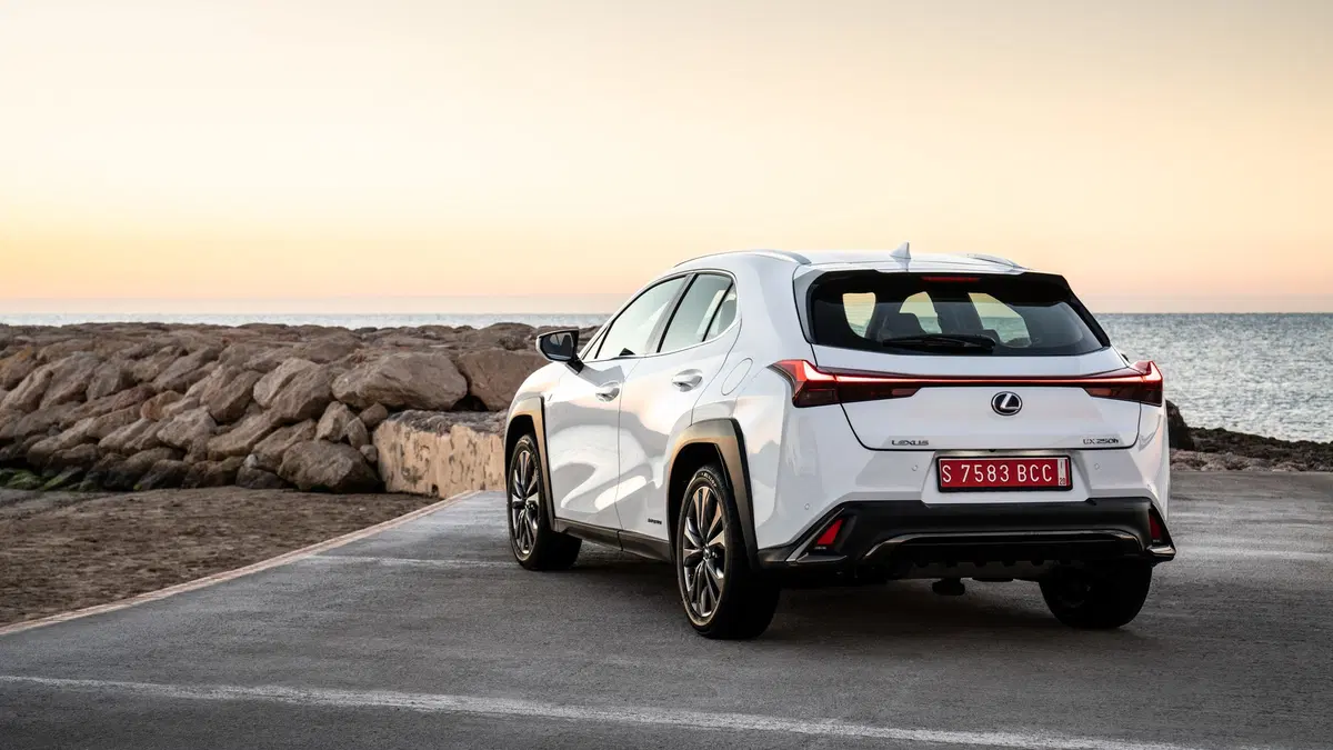 Lexus UX 250h 2019 | funziona se la fate funzionare  (9)
