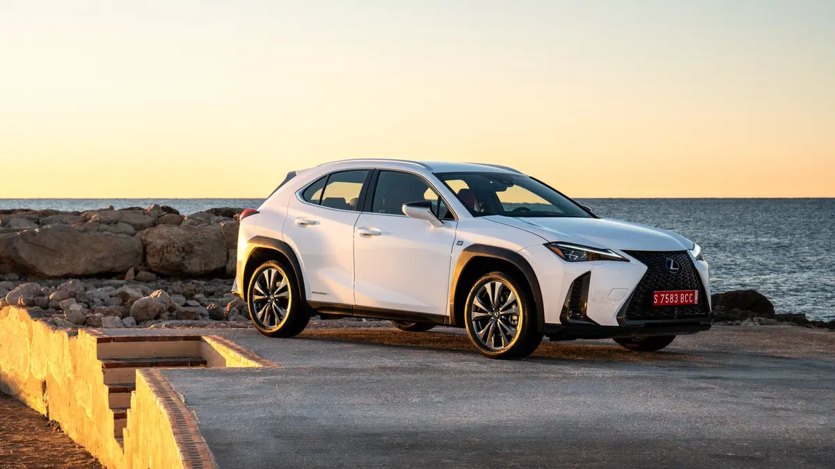 Lexus UX 250h 2019 | funziona se la fate funzionare  (10)