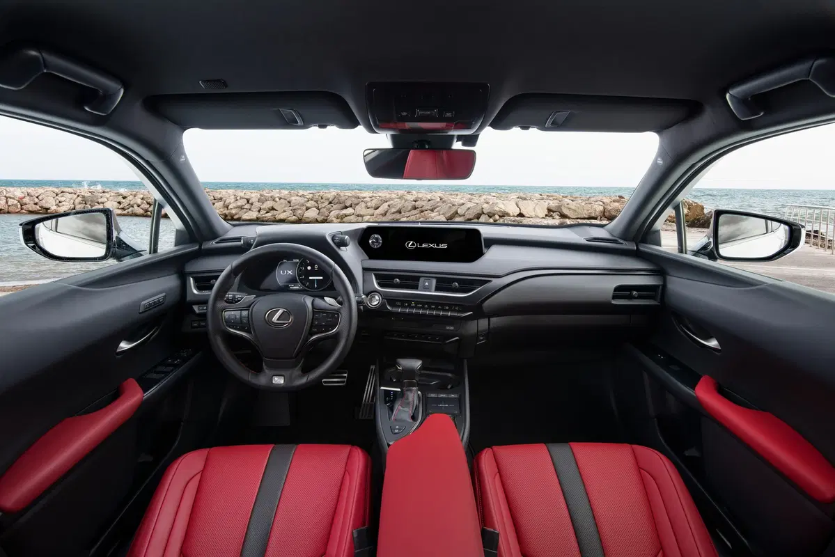 Lexus UX 250h 2019 | funziona se la fate funzionare  (15)