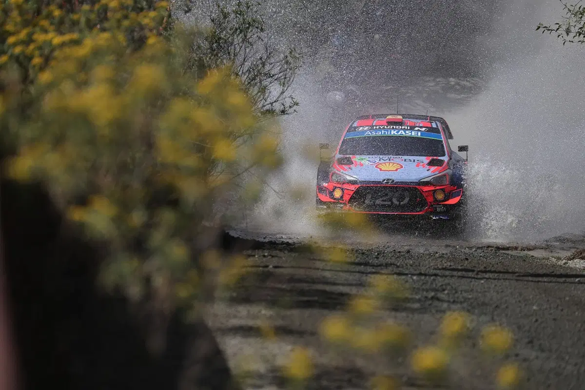 WRC19. Mexico. Meeke, Lappi e un velo di leggenda (13)