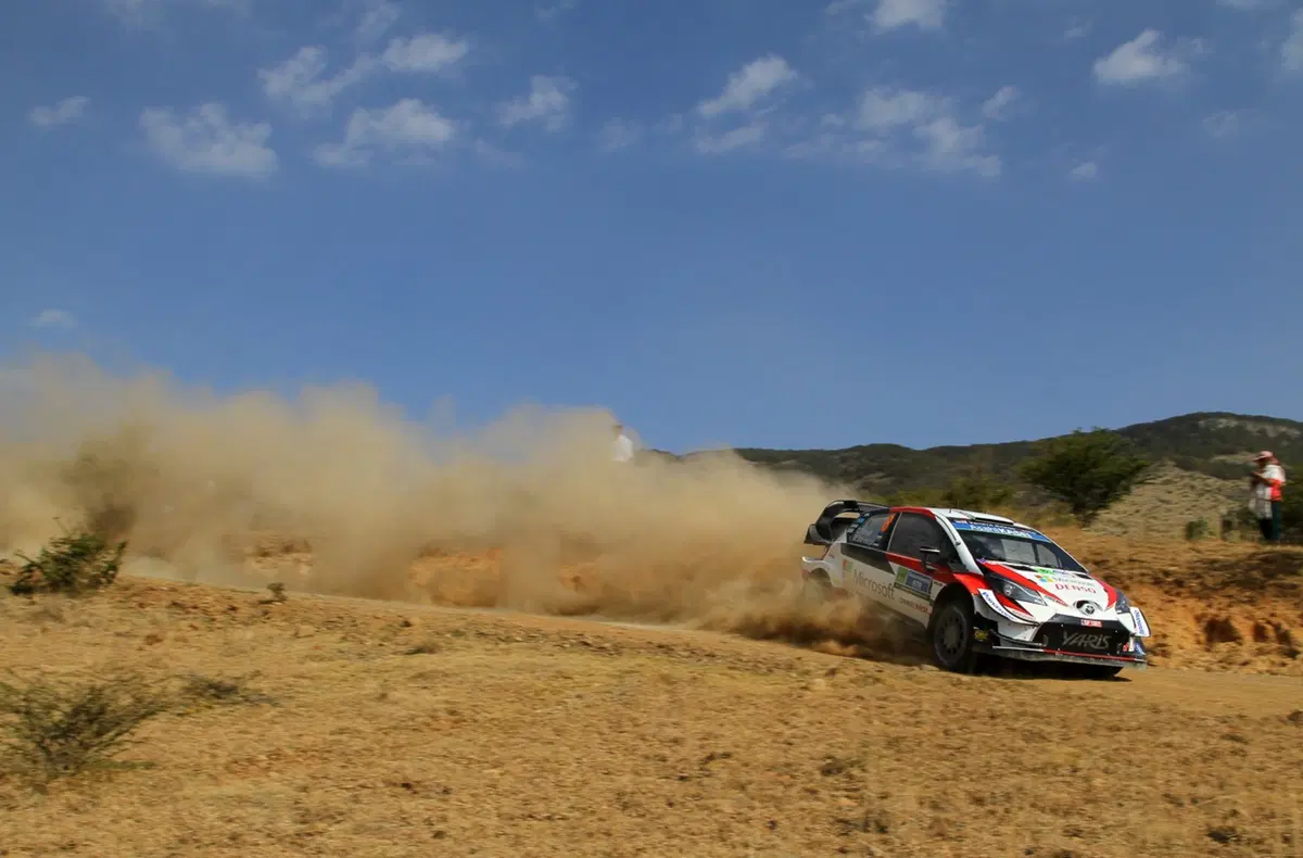 WRC 2019, Rally Messico: le foto più belle (14)