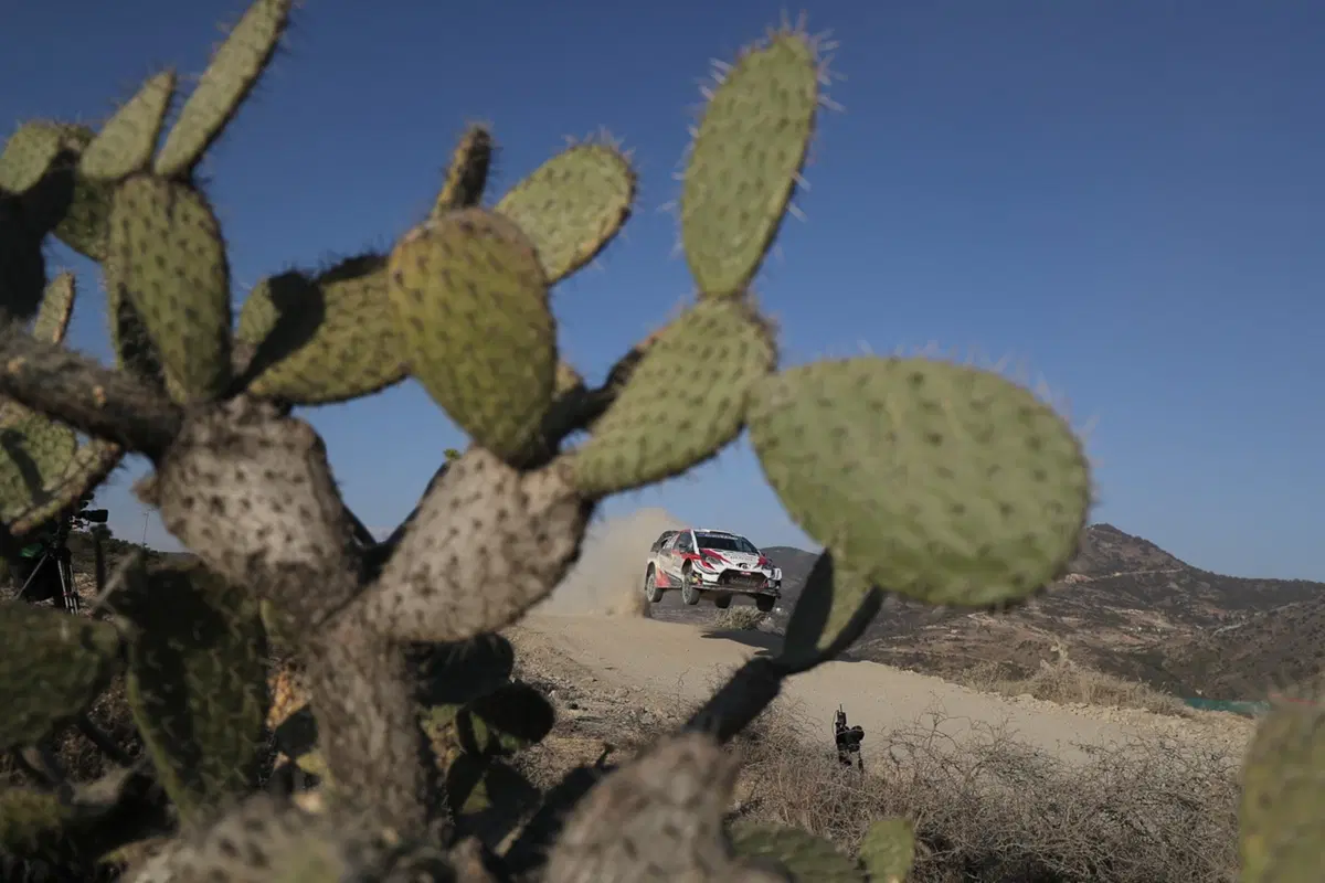 WRC 2019, Rally Messico: le foto più belle (23)