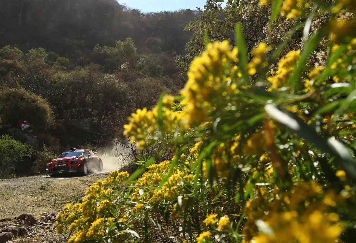 WRC 2019, Rally Messico: le foto più belle (36)