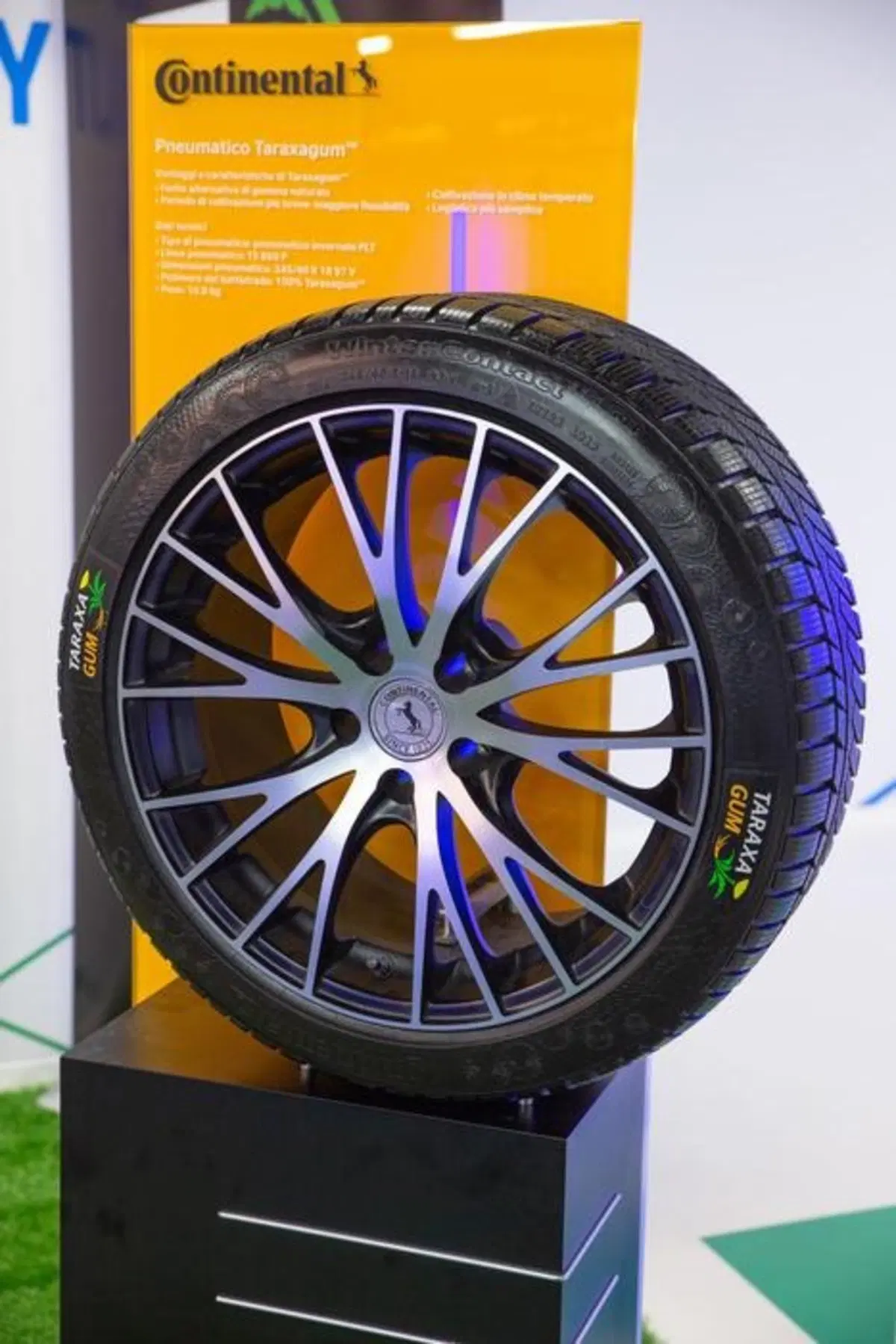 Pneumatici Eco per davvero? Taraxagum, le gomme per auto con “radici” di Tarassaco (3)