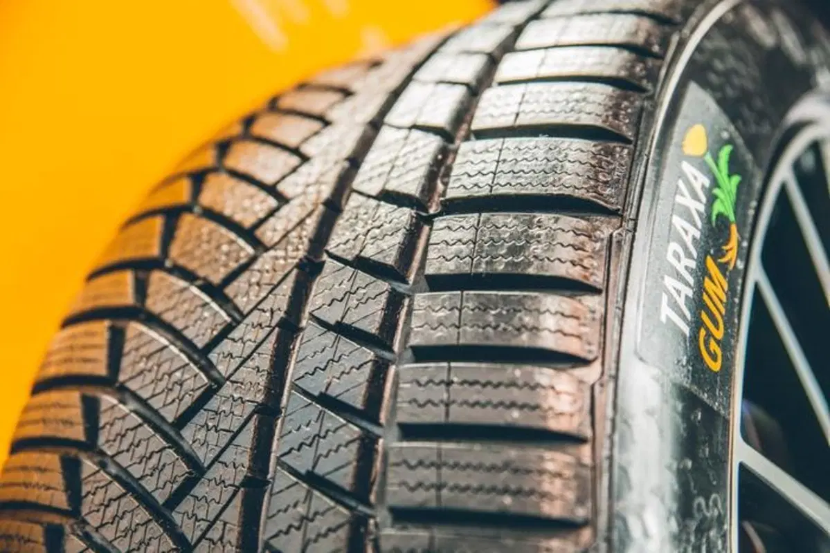 Pneumatici Eco per davvero? Taraxagum, le gomme per auto con “radici” di Tarassaco (4)