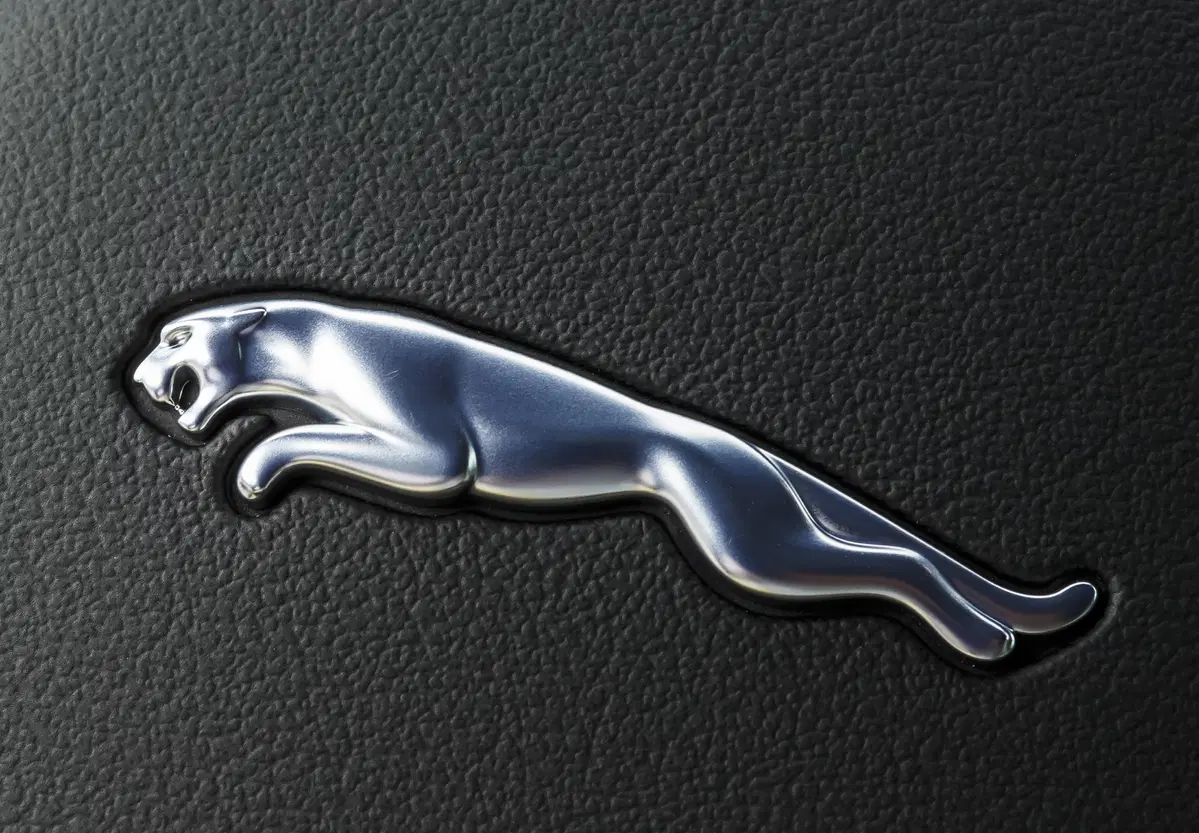 Jaguar F-Pace [Video] (32)