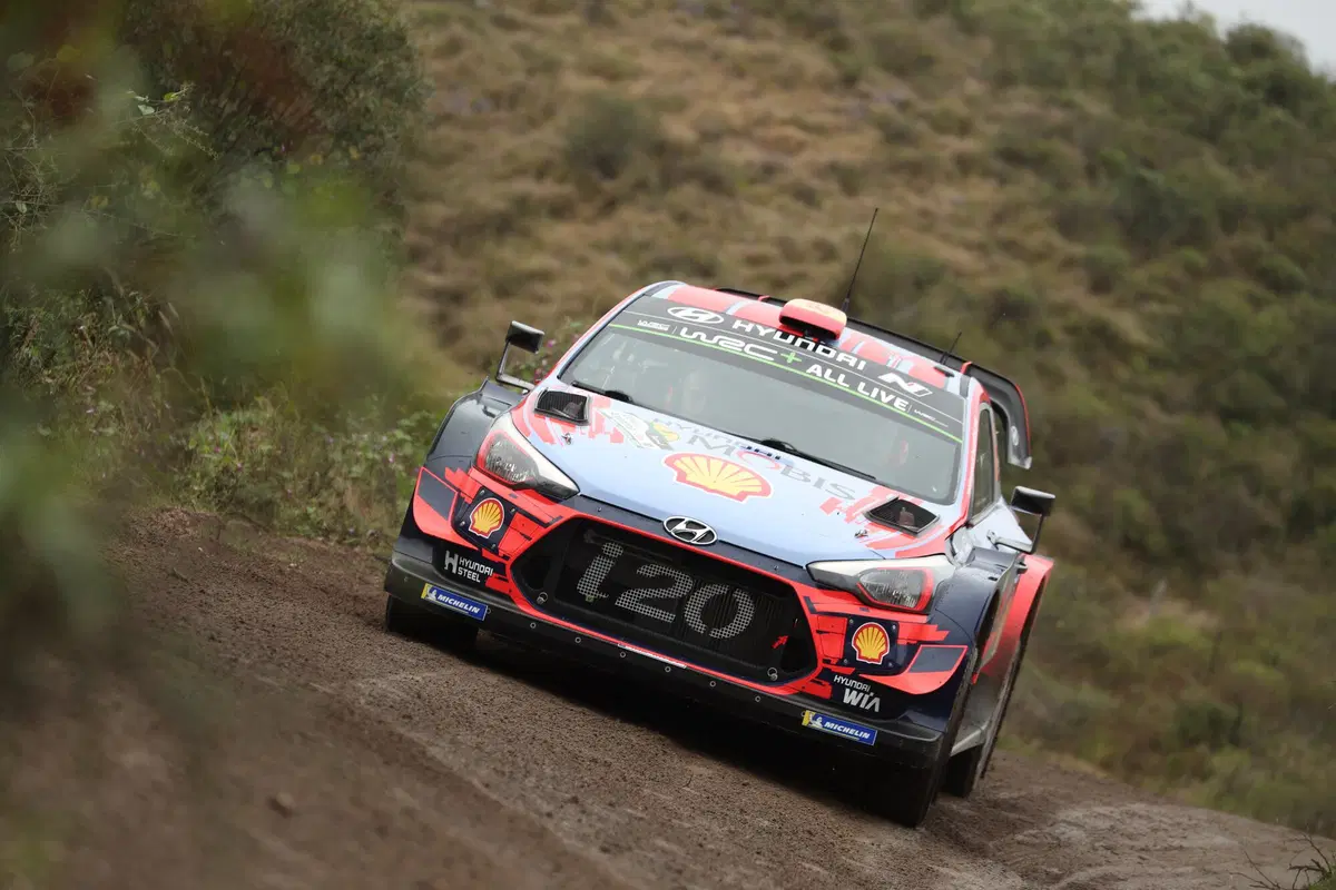 WRC19. Argentina. Tempo Da Lupi e Tempi Da Paura Per Tanak (24)