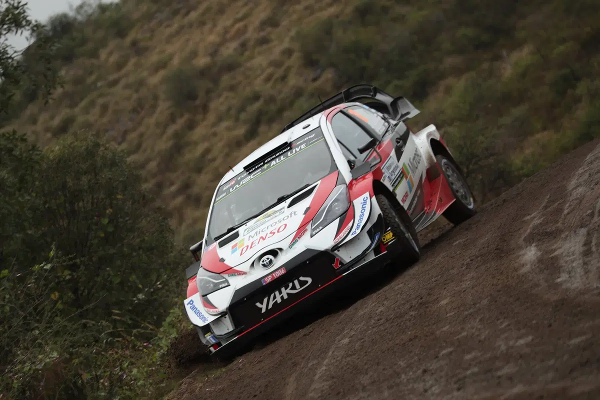 WRC19. Argentina. Tempo Da Lupi e Tempi Da Paura Per Tanak (46)