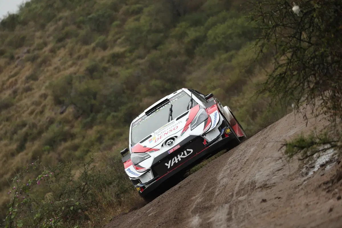 WRC19. Argentina. Tempo Da Lupi e Tempi Da Paura Per Tanak (48)