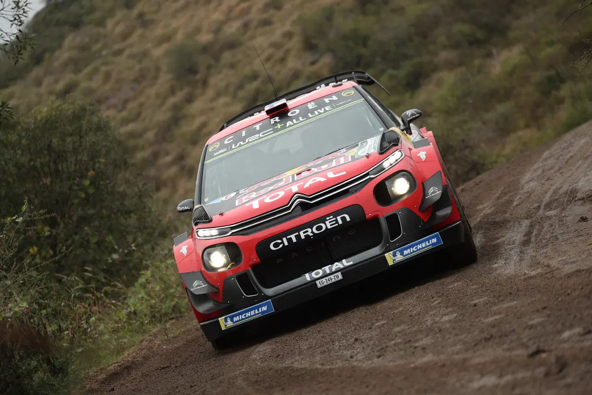 WRC19. Argentina. Tempo Da Lupi e Tempi Da Paura Per Tanak (49)