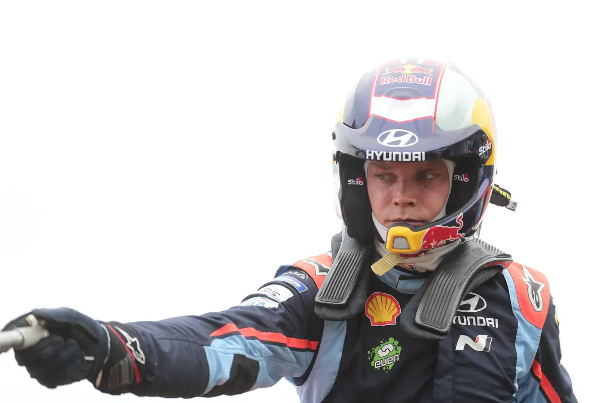 WRC19. Argentina. Tempo Da Lupi e Tempi Da Paura Per Tanak (54)
