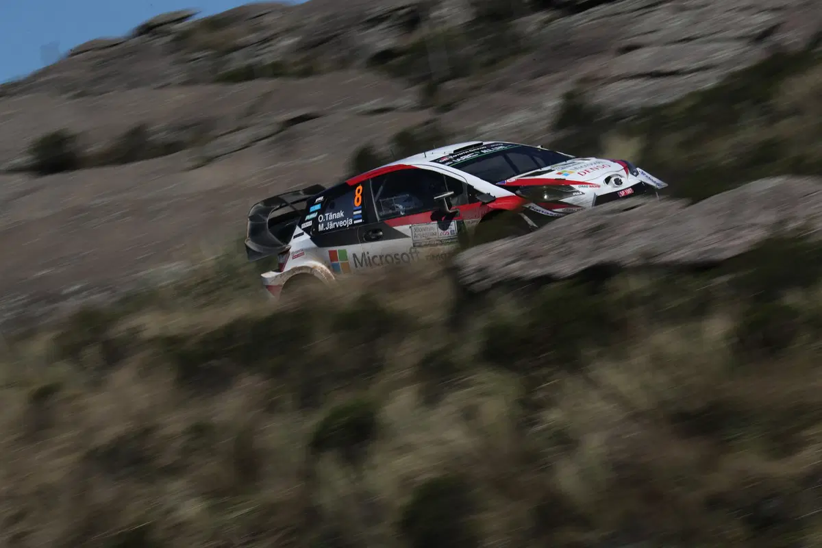 WRC 2019. Argentina. Sabato di Sole e Grande Neuville (23)