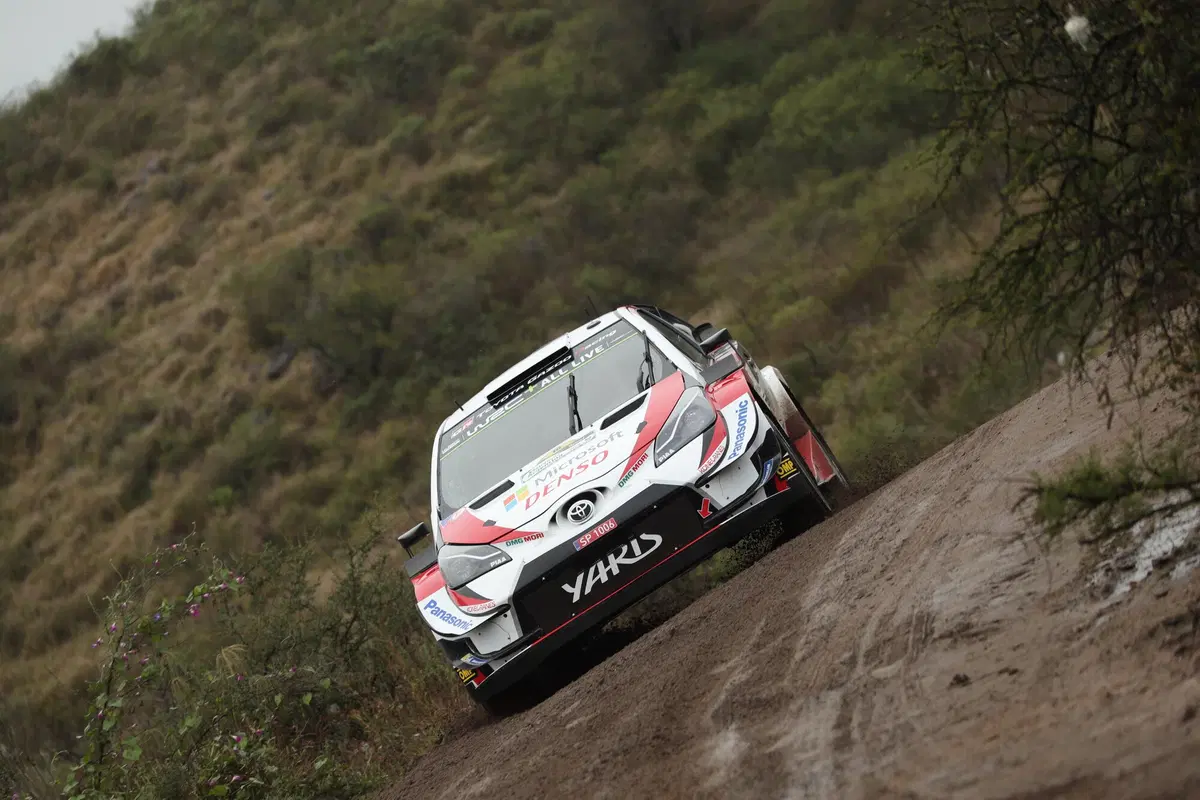 WRC19. Argentina. Tempo Da Lupi e Tempi Da Paura Per Tanak