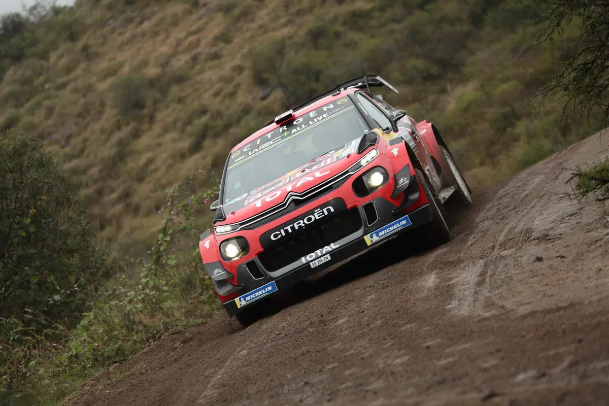 WRC19. Argentina. Tempo Da Lupi e Tempi Da Paura Per Tanak (25)