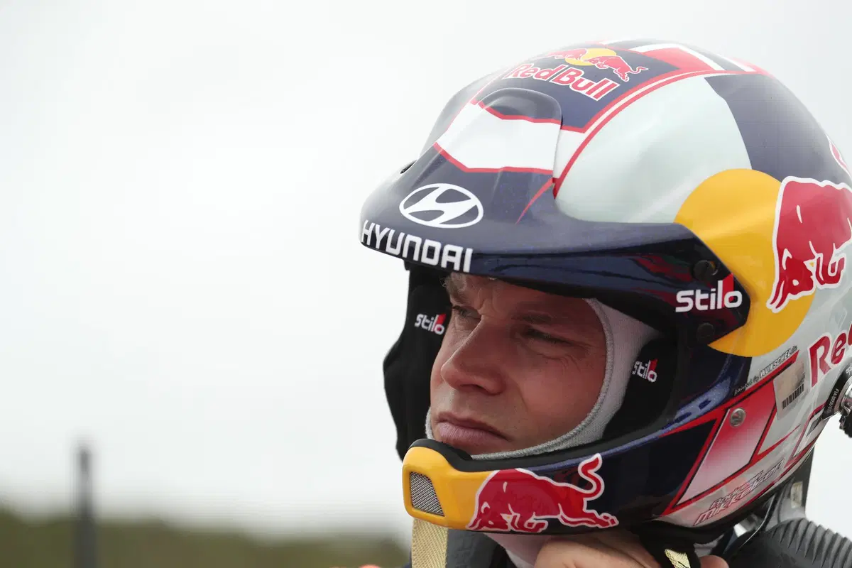 WRC19. Argentina. Tempo Da Lupi e Tempi Da Paura Per Tanak (36)