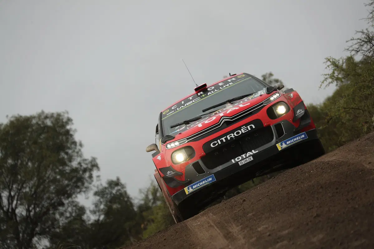 WRC19. Argentina. Tempo Da Lupi e Tempi Da Paura Per Tanak (41)