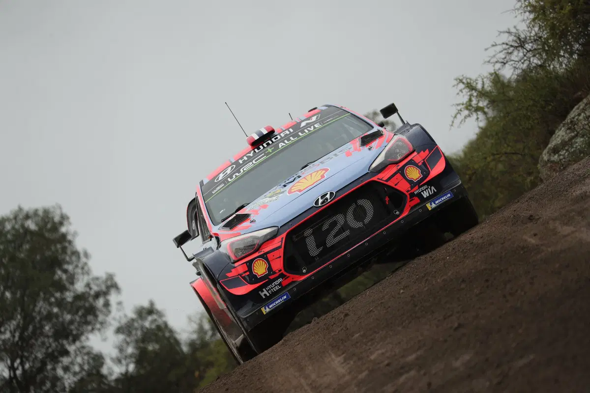 WRC19. Argentina. Tempo Da Lupi e Tempi Da Paura Per Tanak (42)