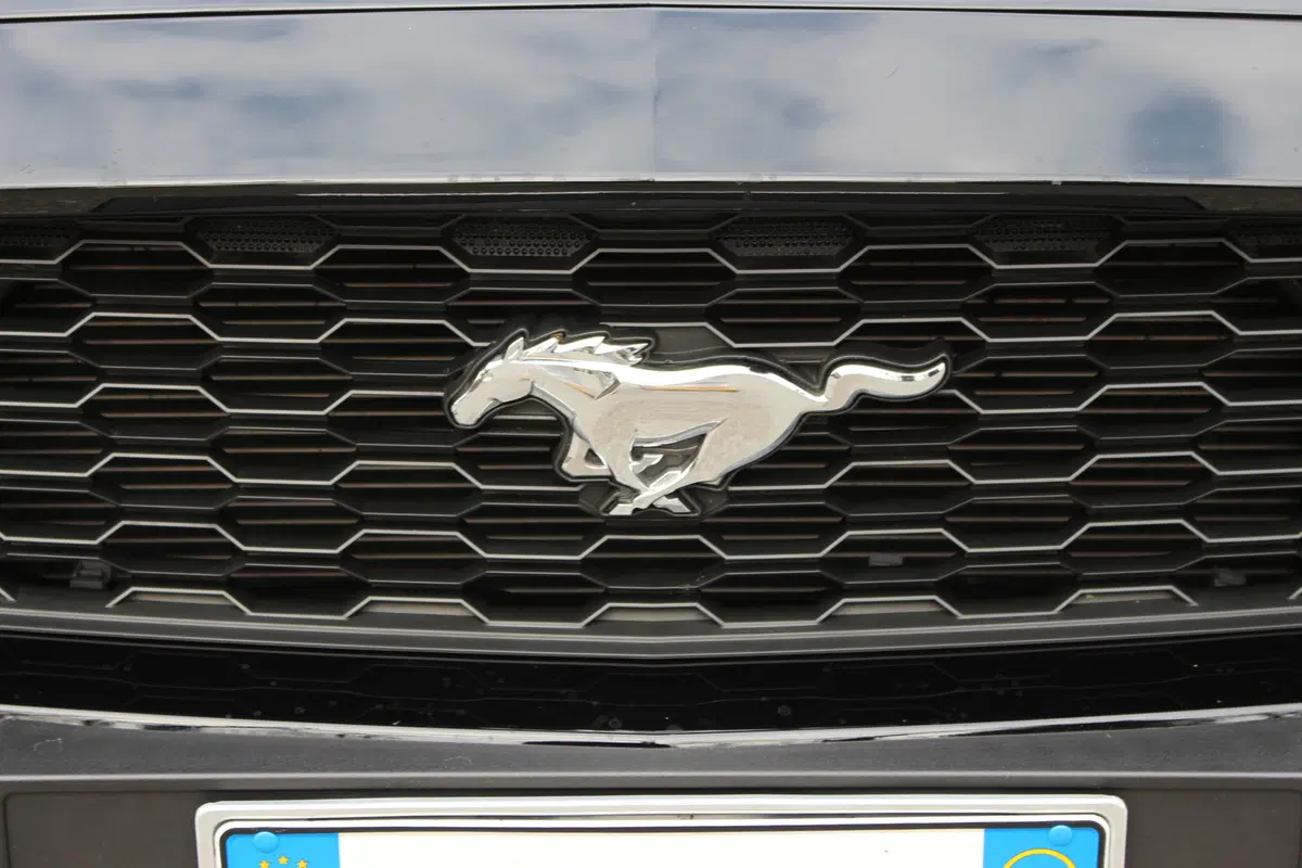 Ford Mustang | test drive #AMboxing (7)