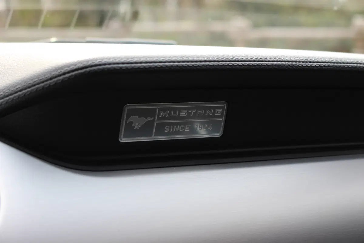 Ford Mustang | test drive #AMboxing (24)