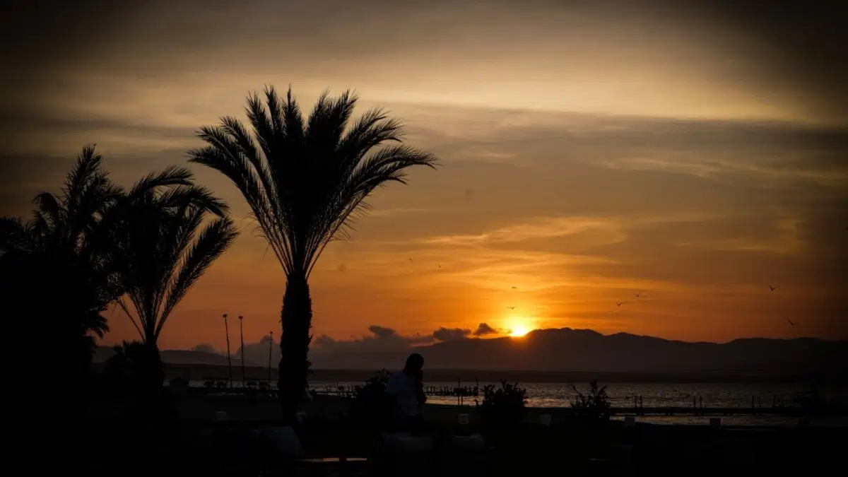Dakar Rewind. Sud America. 2. Un Viaggio Indimenticabile Durato 10 Anni (9)