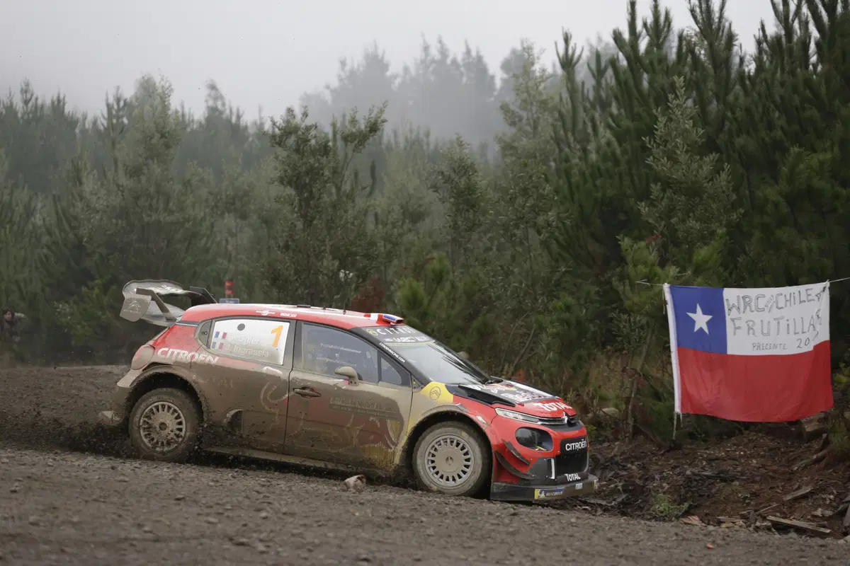 WRC 2019. Cile. Tutto Nuovo, Bello, Eccitante (8)