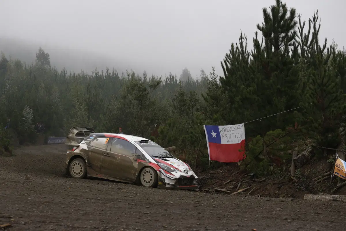 WRC 2019. Cile. Tutto Nuovo, Bello, Eccitante (7)