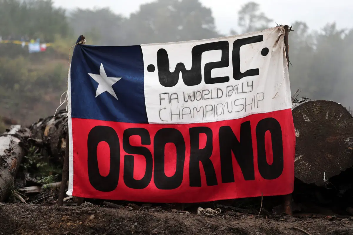 WRC 2019. Cile. Tutto Nuovo, Bello, Eccitante (9)