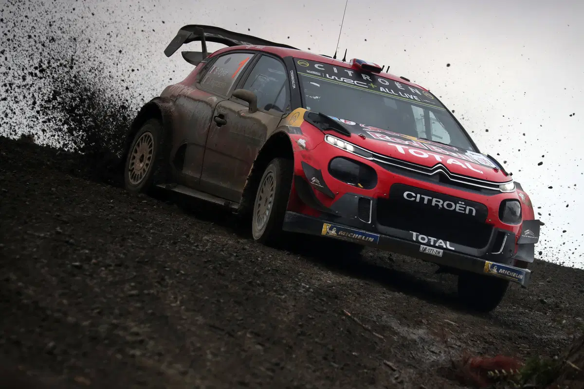 WRC 2019. Cile. Tutto Nuovo, Bello, Eccitante (18)