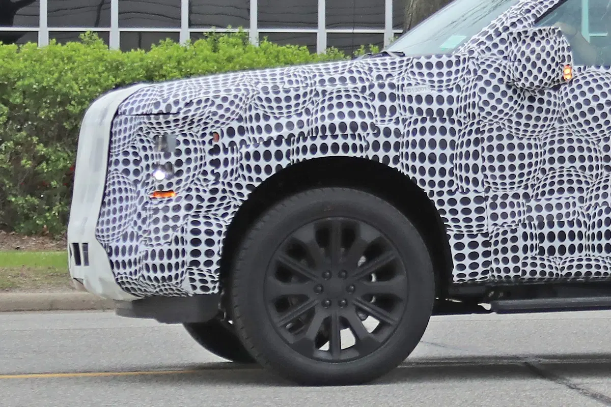 Ford F-150: verso la futura generazione [Foto spia] (6)