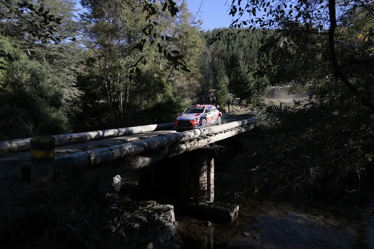 WRC 2019. Cile. Prima Tappa, Inferno Tanak (Toyota) (2)