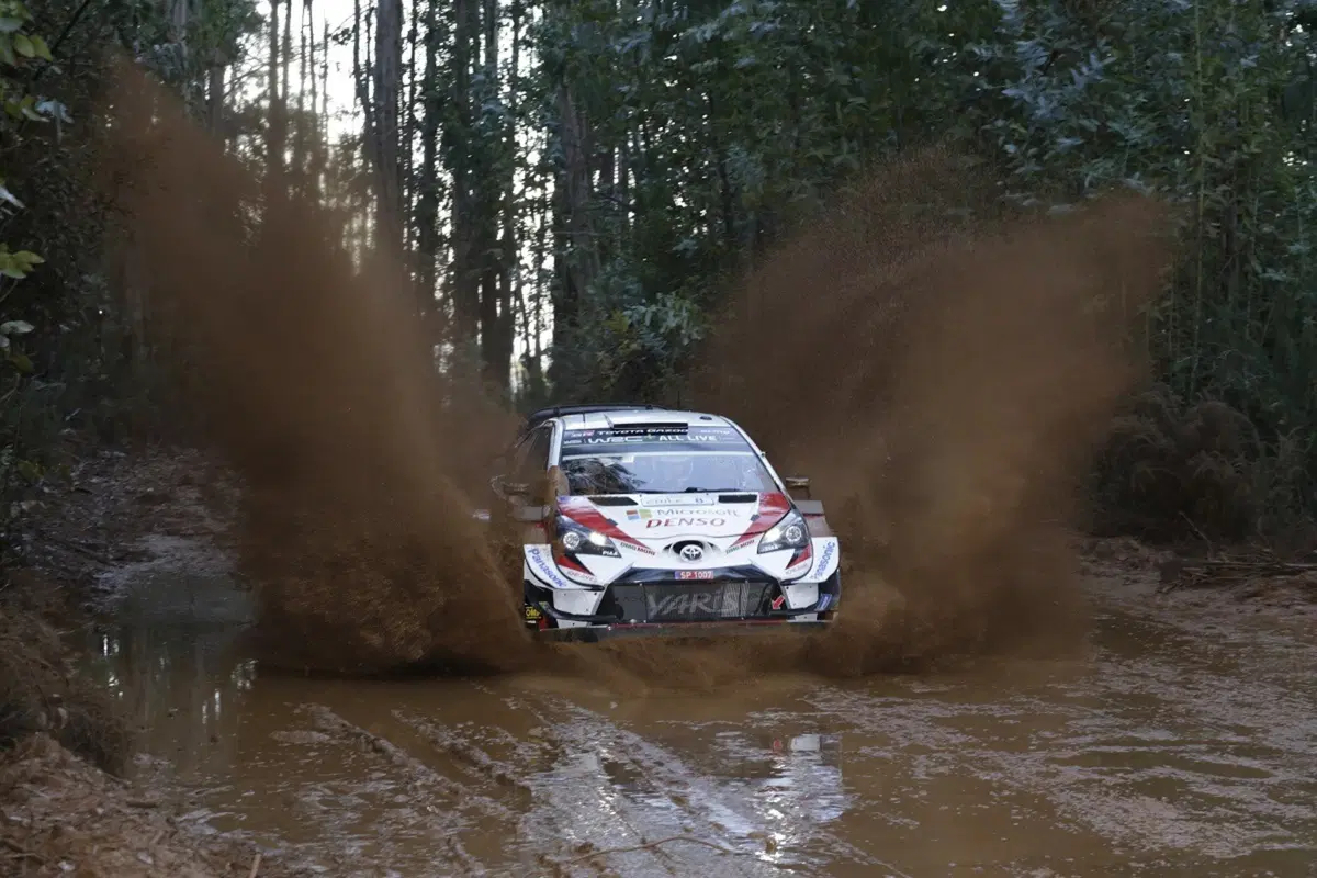 WRC 2019. Cile. Prima Tappa, Inferno Tanak (Toyota) (4)