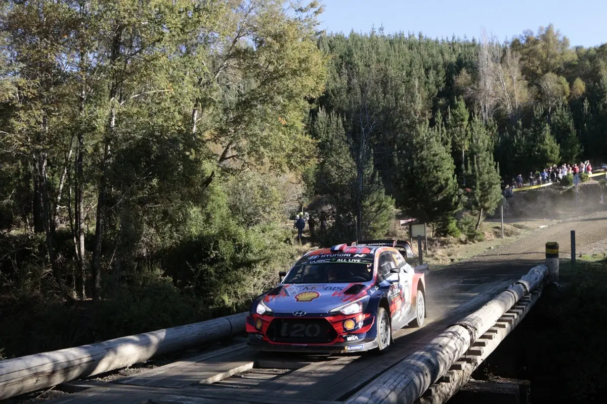 WRC 2019. Cile. Prima Tappa, Inferno Tanak (Toyota) (5)