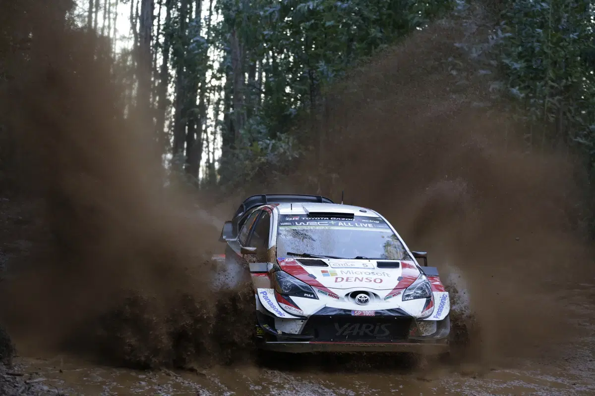 WRC 2019. Cile. Prima Tappa, Inferno Tanak (Toyota) (6)
