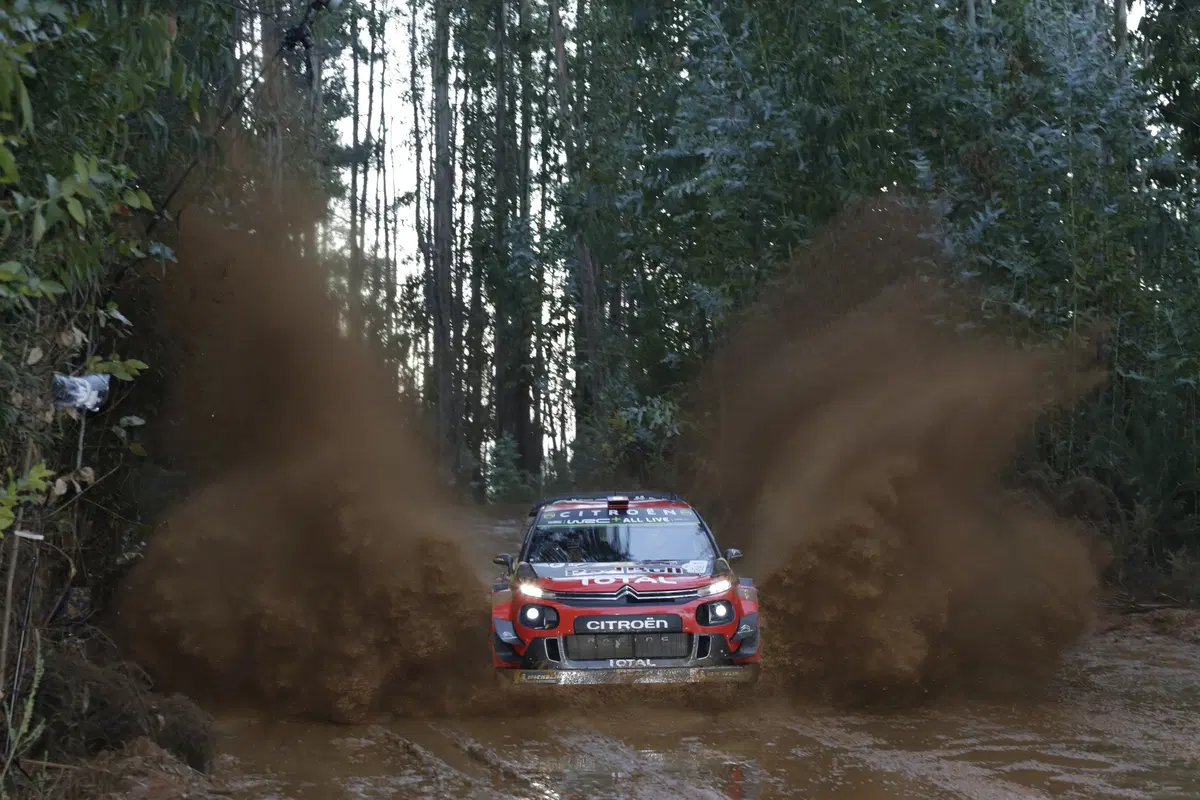 WRC 2019. Cile. Prima Tappa, Inferno Tanak (Toyota) (7)
