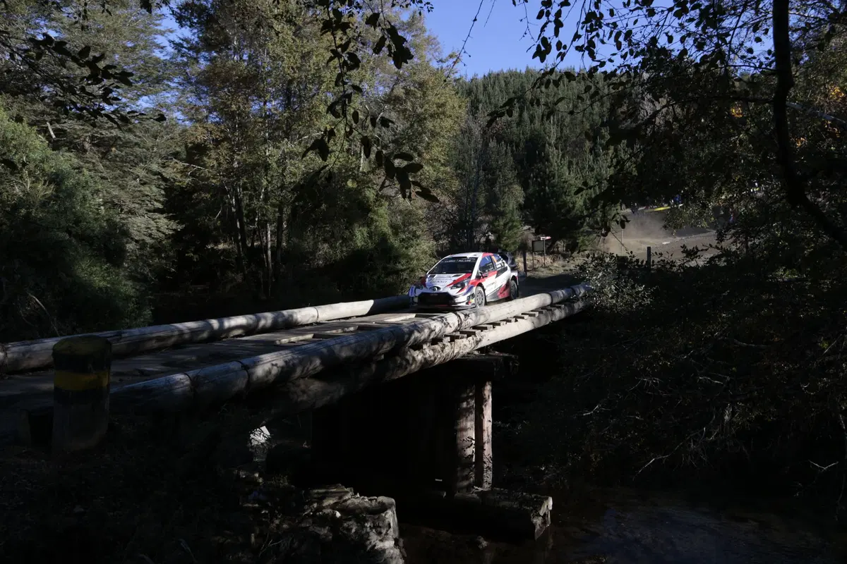 WRC 2019. Cile. Prima Tappa, Inferno Tanak (Toyota) (8)