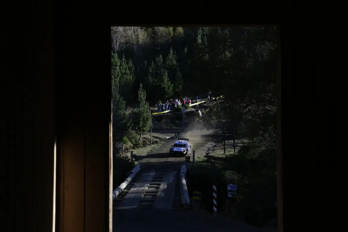 WRC 2019. Cile. Prima Tappa, Inferno Tanak (Toyota) (15)