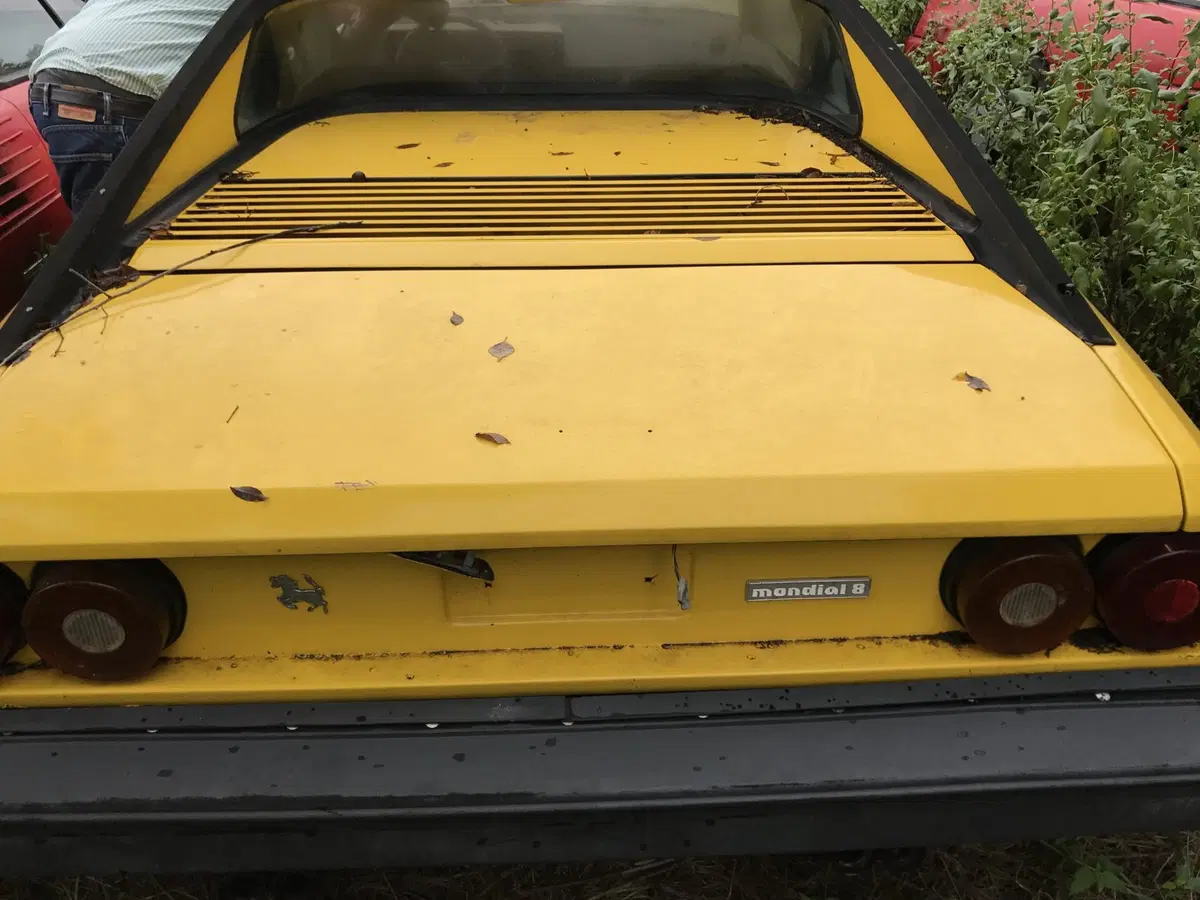 Ferrari, abbandonate in un campo 11 auto storiche 