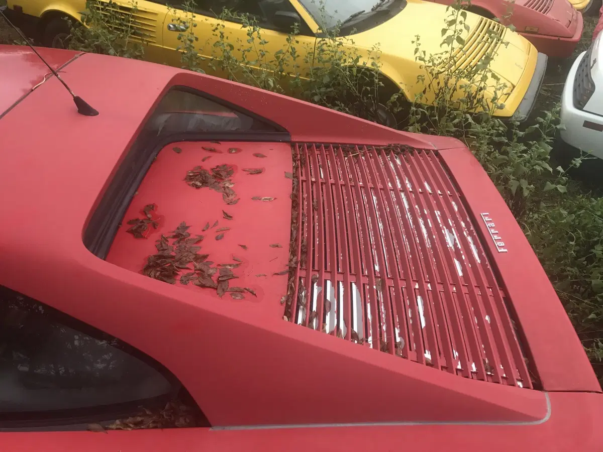 Ferrari, abbandonate in un campo 11 auto storiche  (3)