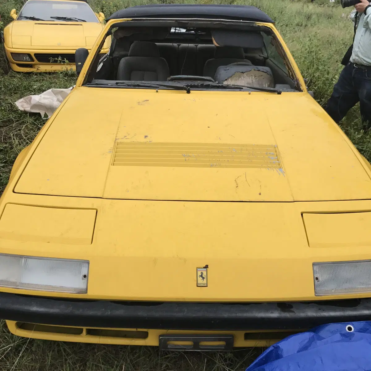 Ferrari, abbandonate in un campo 11 auto storiche  (4)