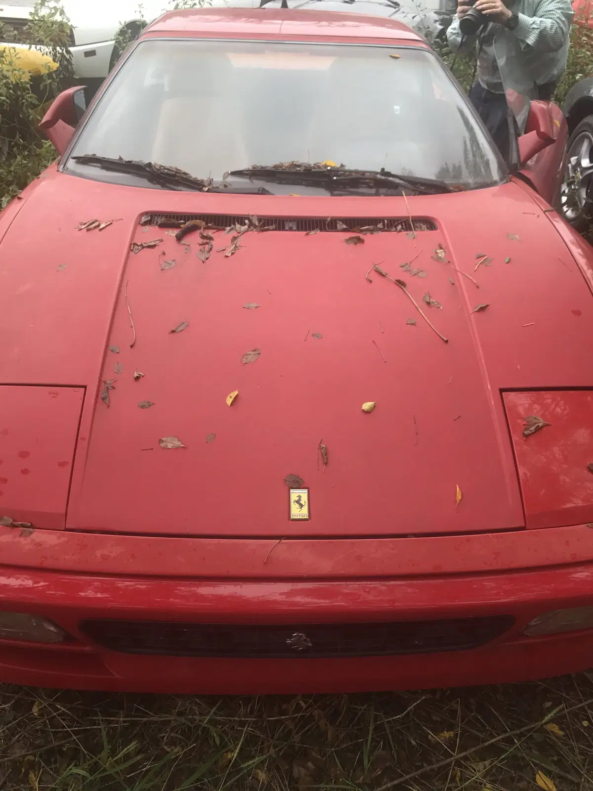 Ferrari, abbandonate in un campo 11 auto storiche  (5)