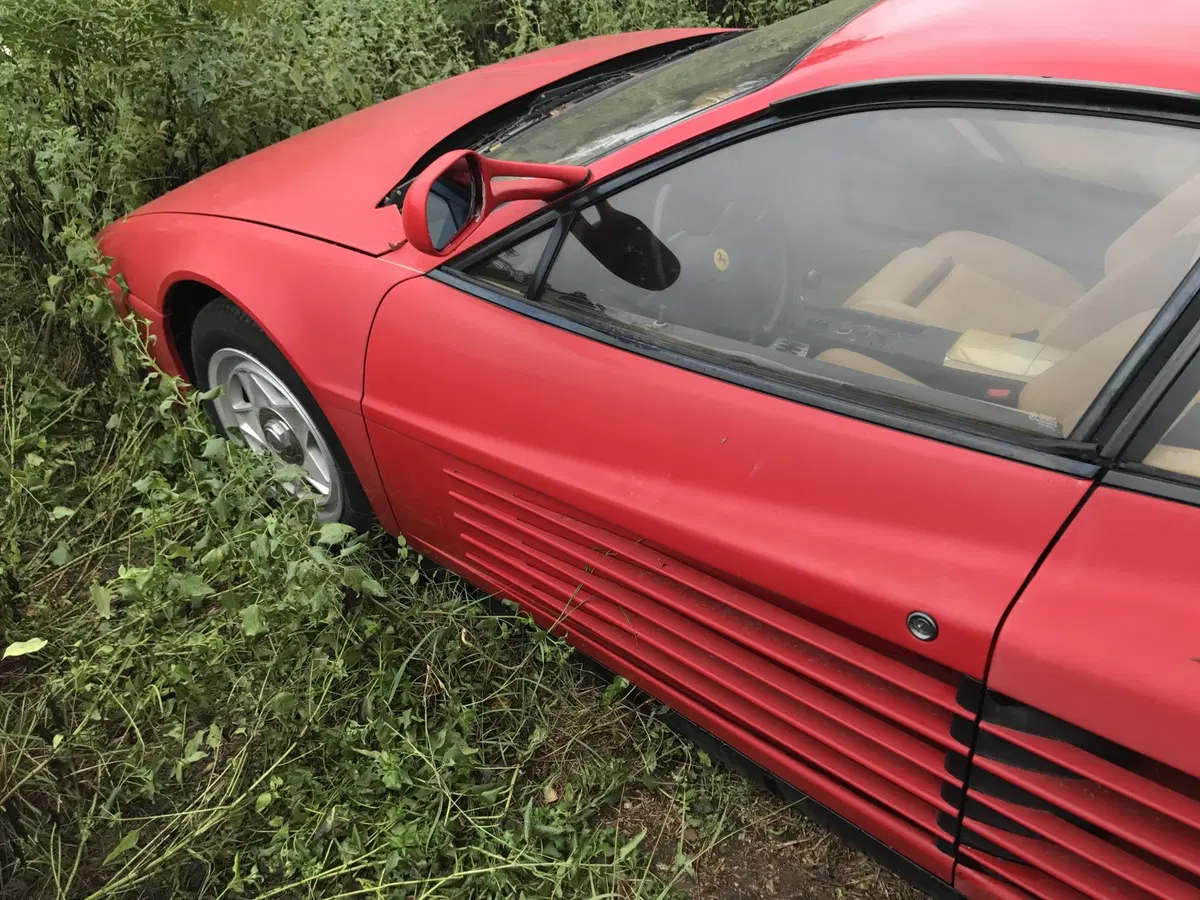Ferrari, abbandonate in un campo 11 auto storiche  (6)