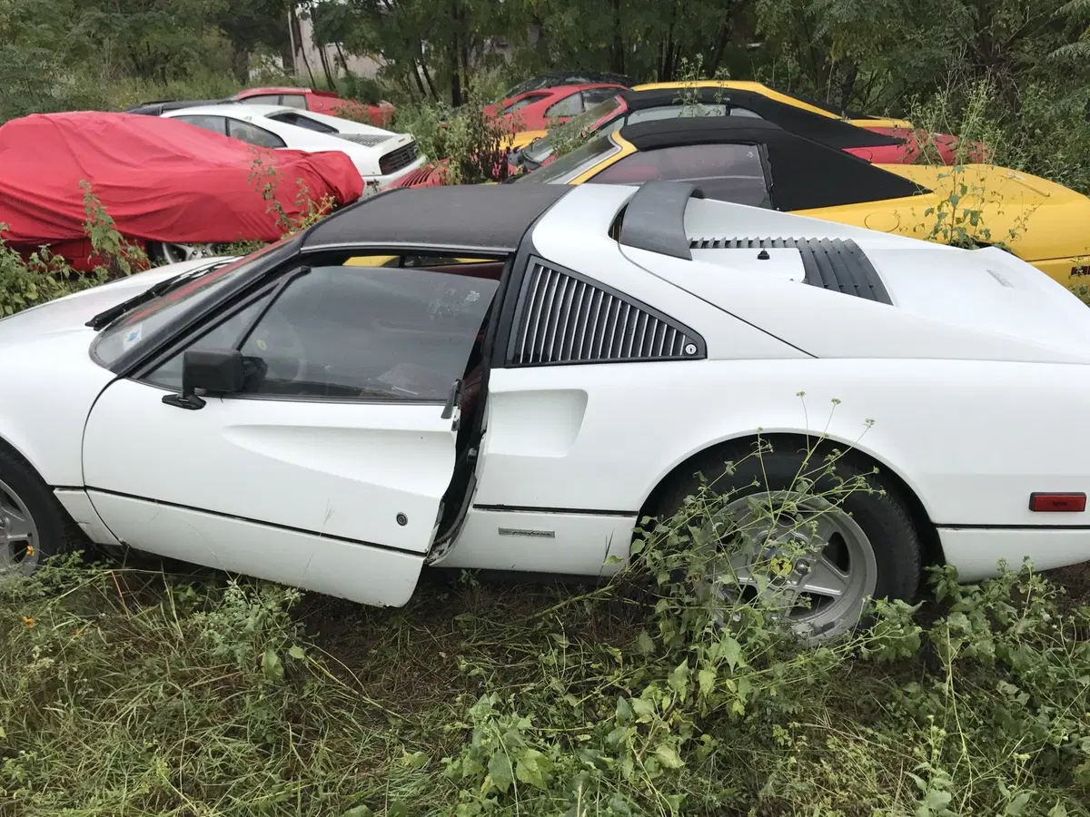 Ferrari, abbandonate in un campo 11 auto storiche  (8)