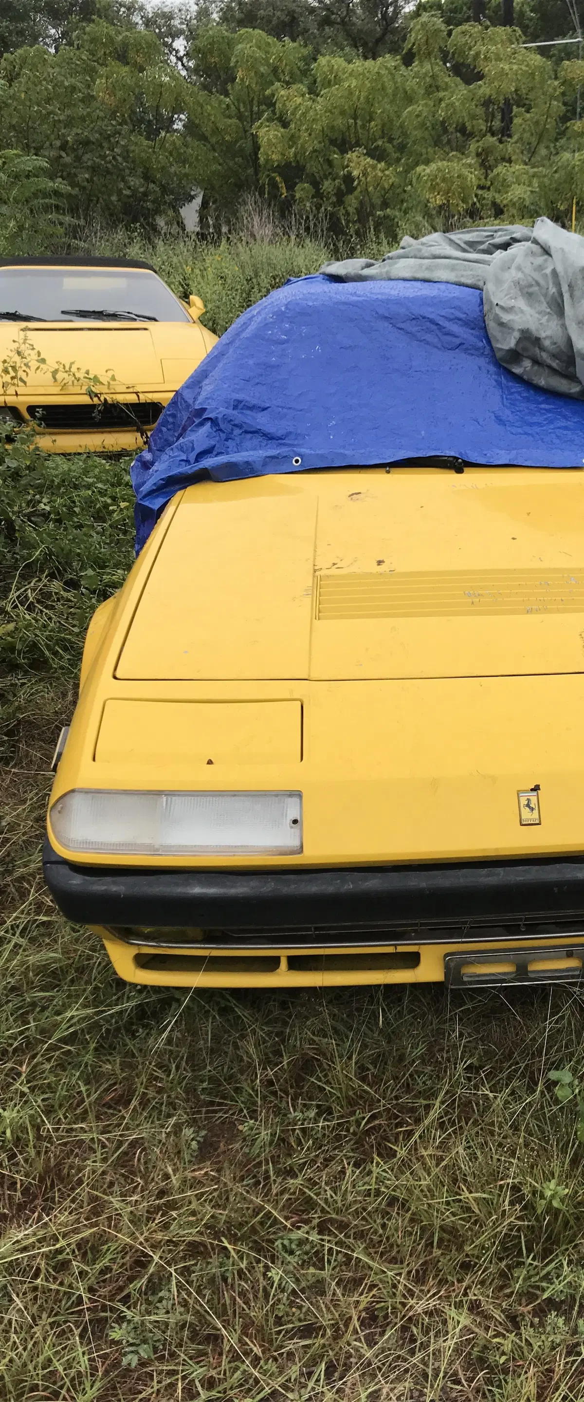 Ferrari, abbandonate in un campo 11 auto storiche  (9)