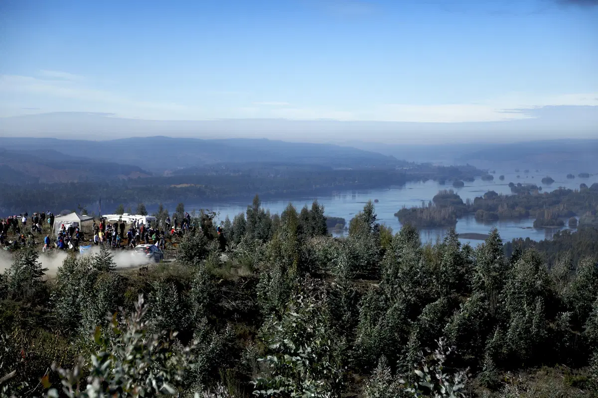 WRC, Rally Cile 2019: le foto più belle (15)